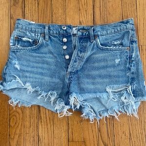 Agolde Parker Shorts in Swapmeet